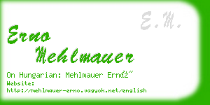 erno mehlmauer business card